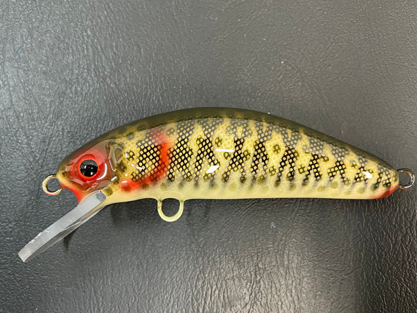 $9 Bass (Brown) - Cream Belly - 6DSC