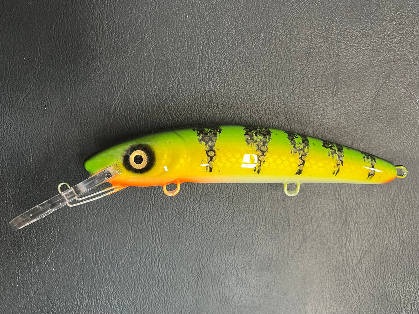 Chaulky Perch - White Belly - 9H
