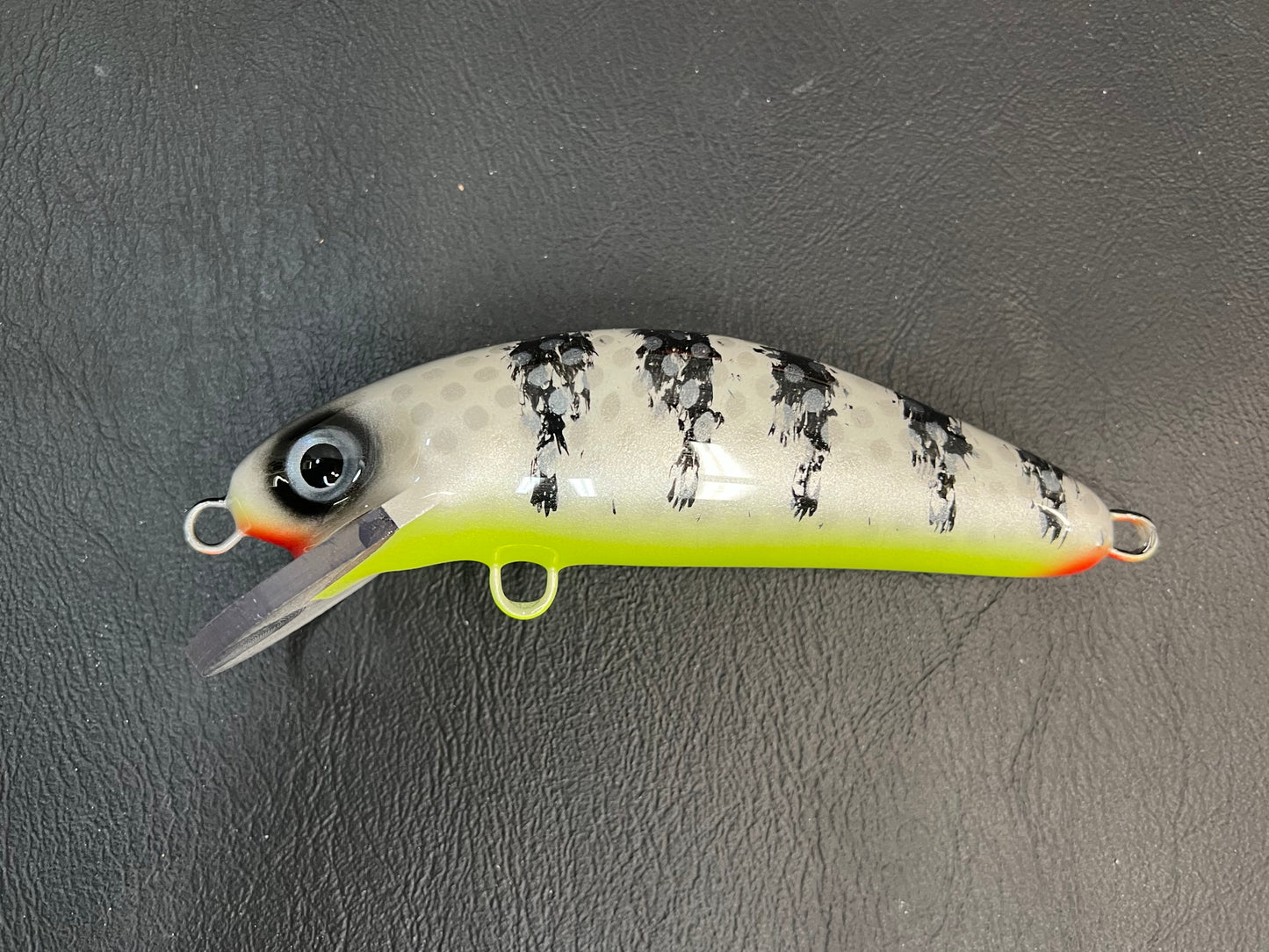 Zombie Perch - Chartreuse Belly - 6SC