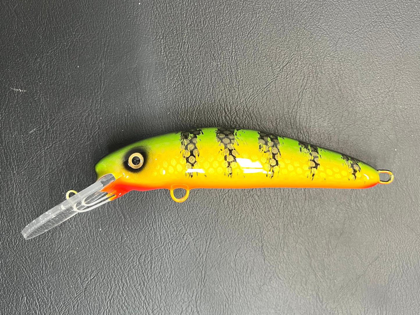 Chalky Perch - Orange Belly - 7H