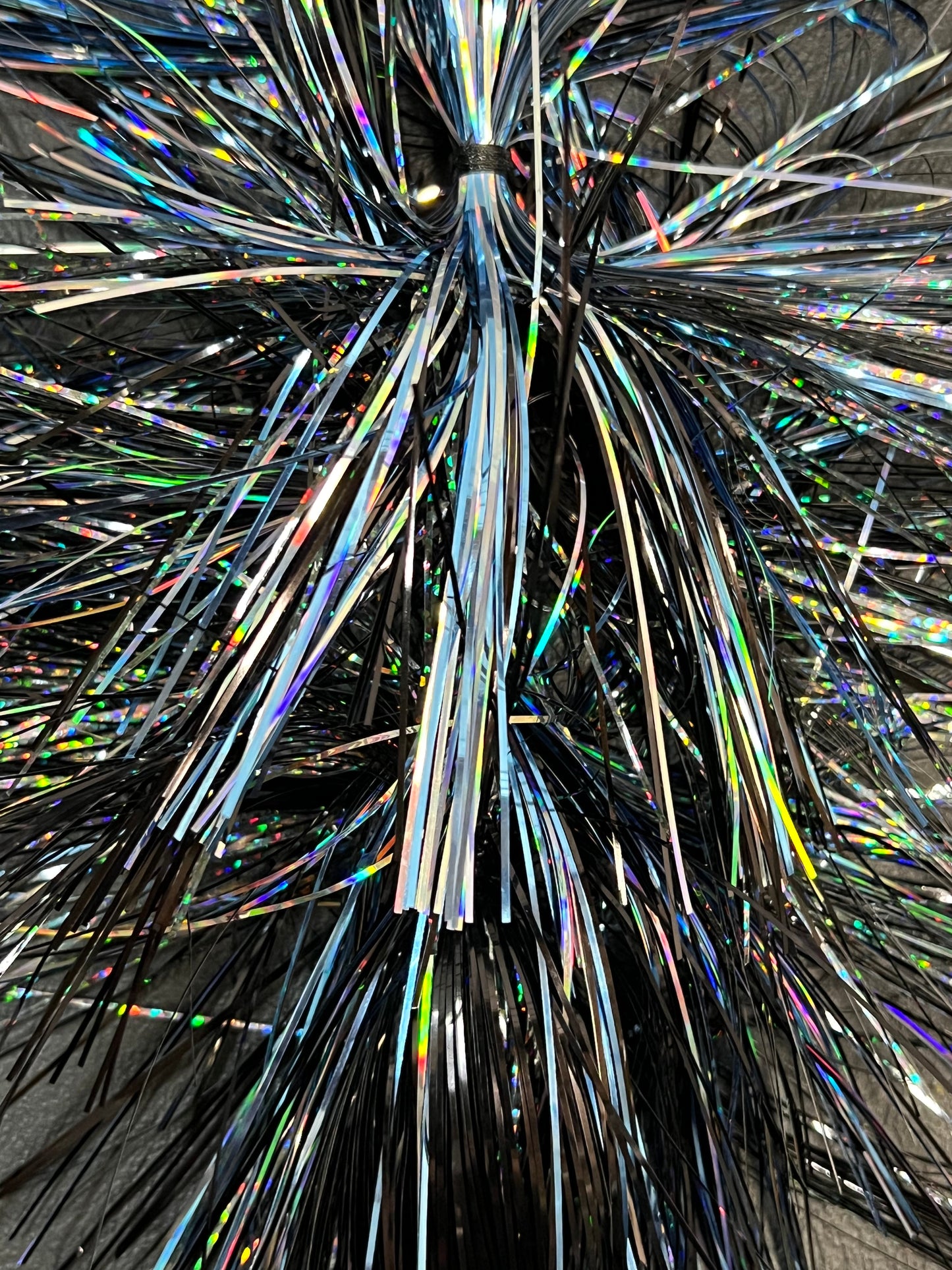 Georgian Bay Herring - CC9