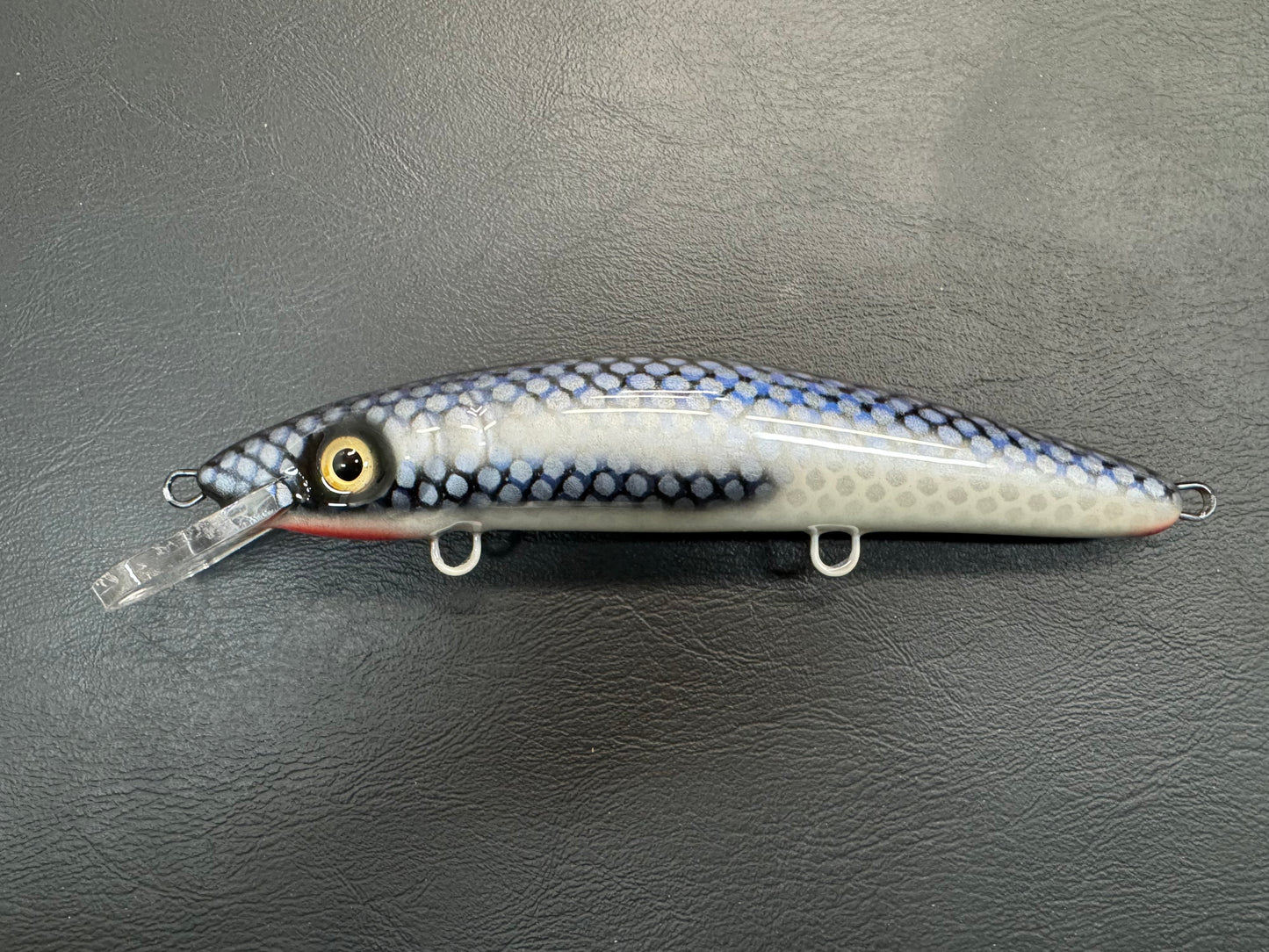 Mooneye - Pearl Belly - 9CP