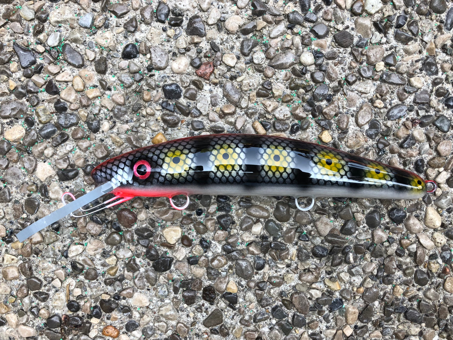 Silver Killer - Pearl Belly - 9H