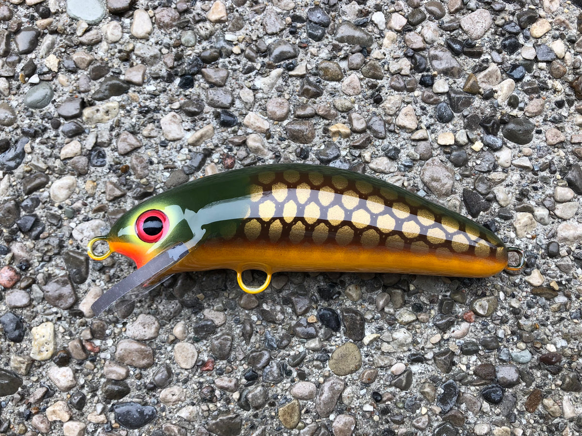 Lawton Yellow Belly 6SC Blue Water Baits