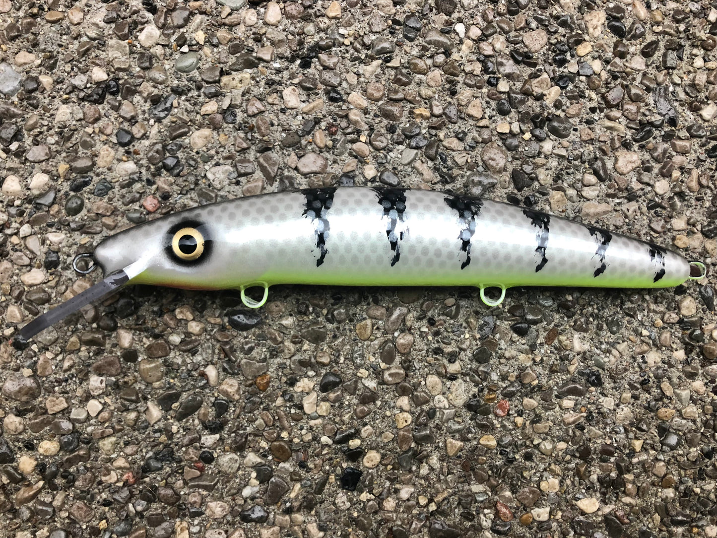 Zombie - Chartreuse Belly - 12C