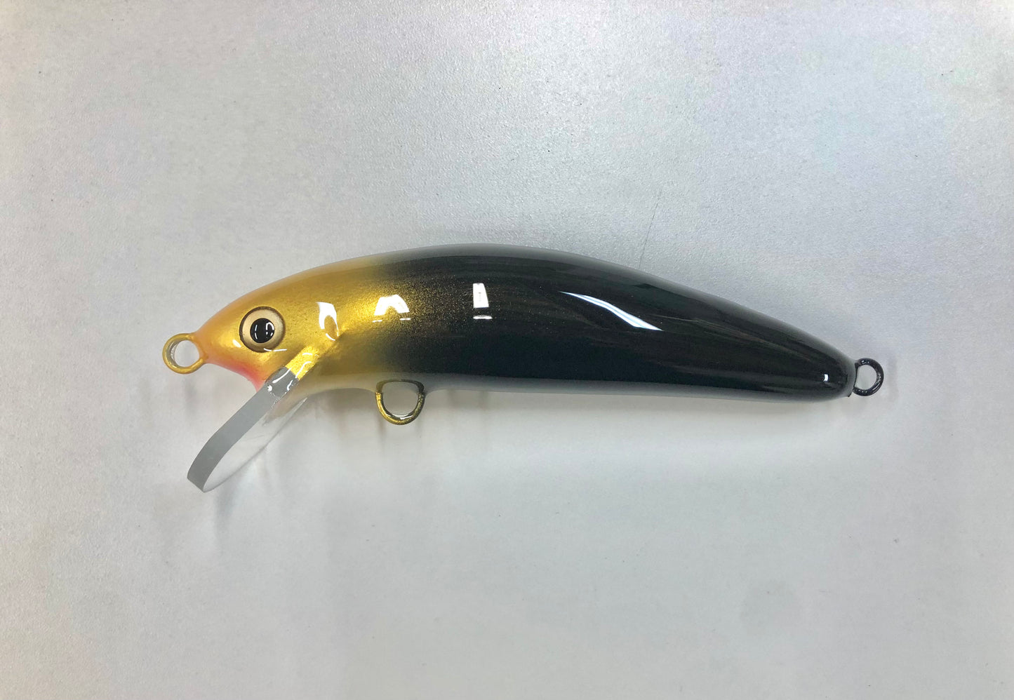 Gold Head - Black Belly