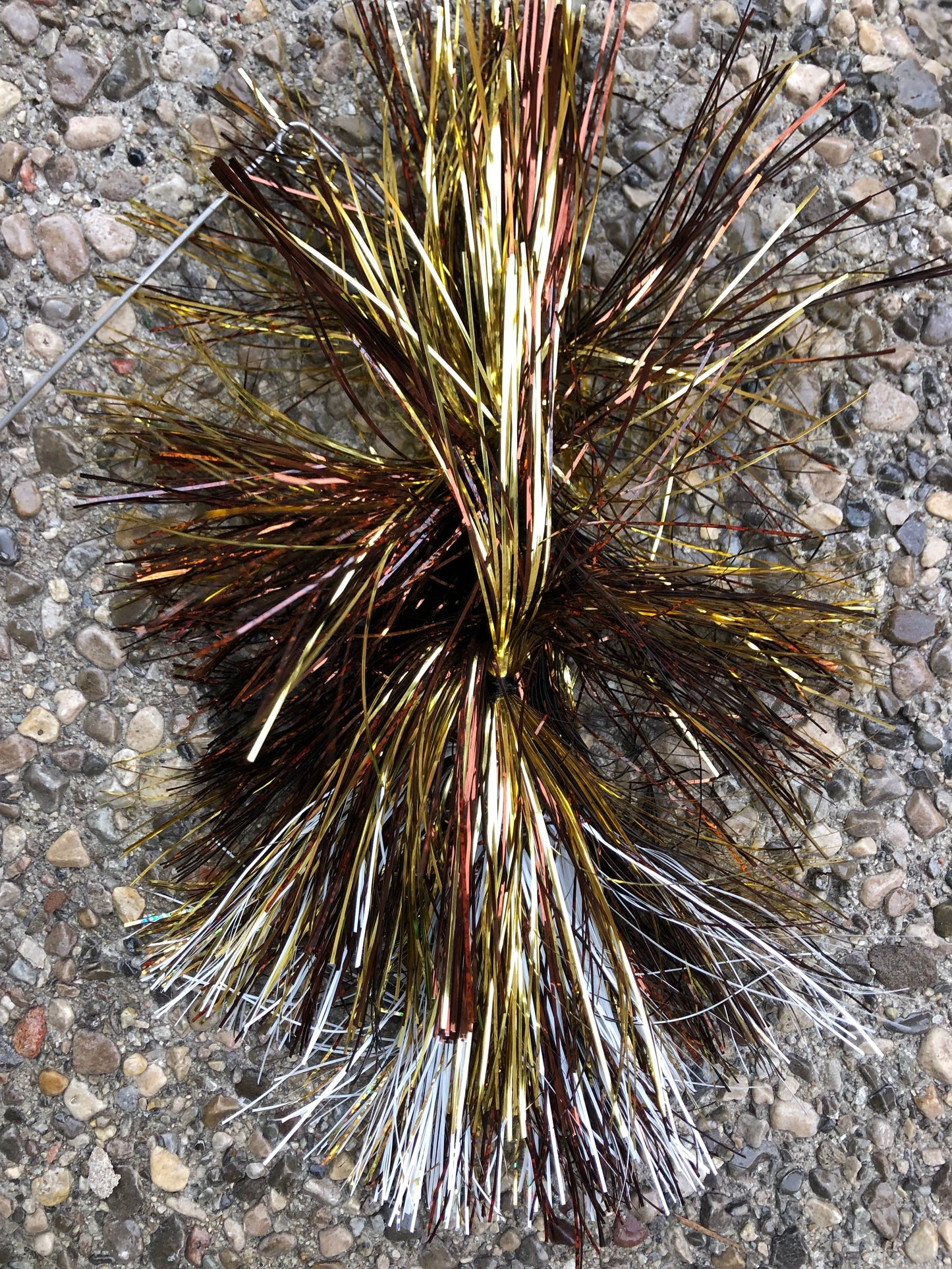 White Tail Walleye - MGS