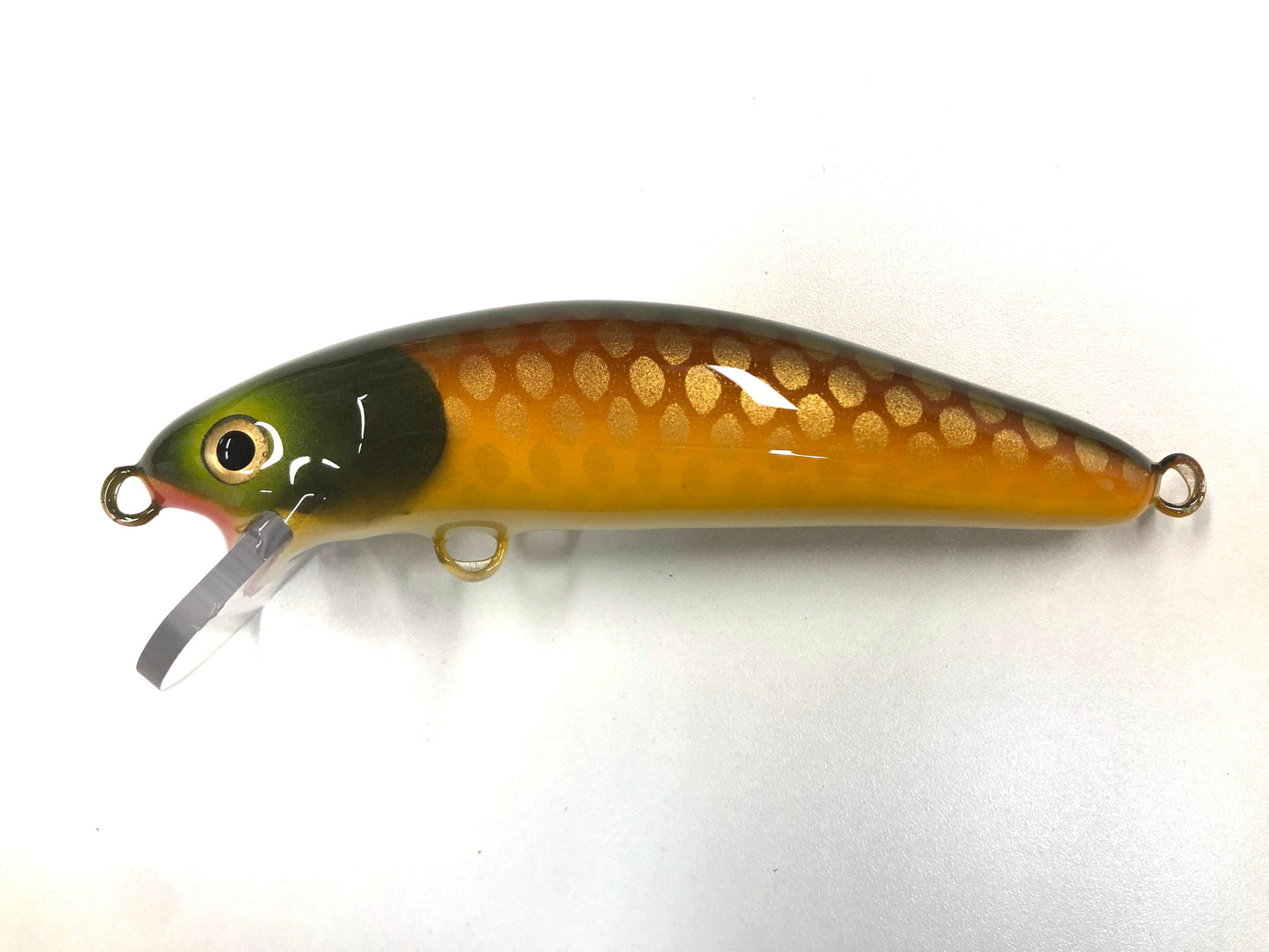 Lawton (Light) - Pearl Belly