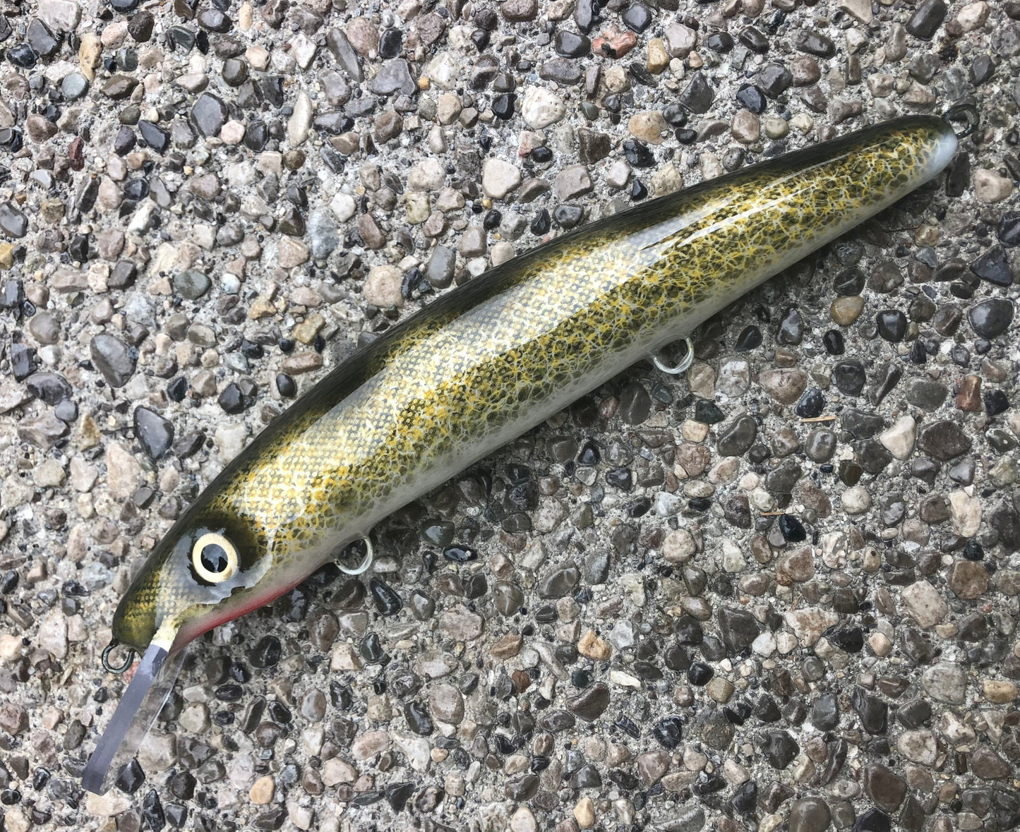 Natural Walleye - Pearl Belly - 12C