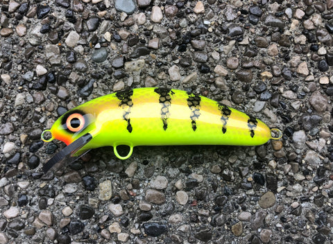Candy Perch - Chartreuse Belly - 6SC