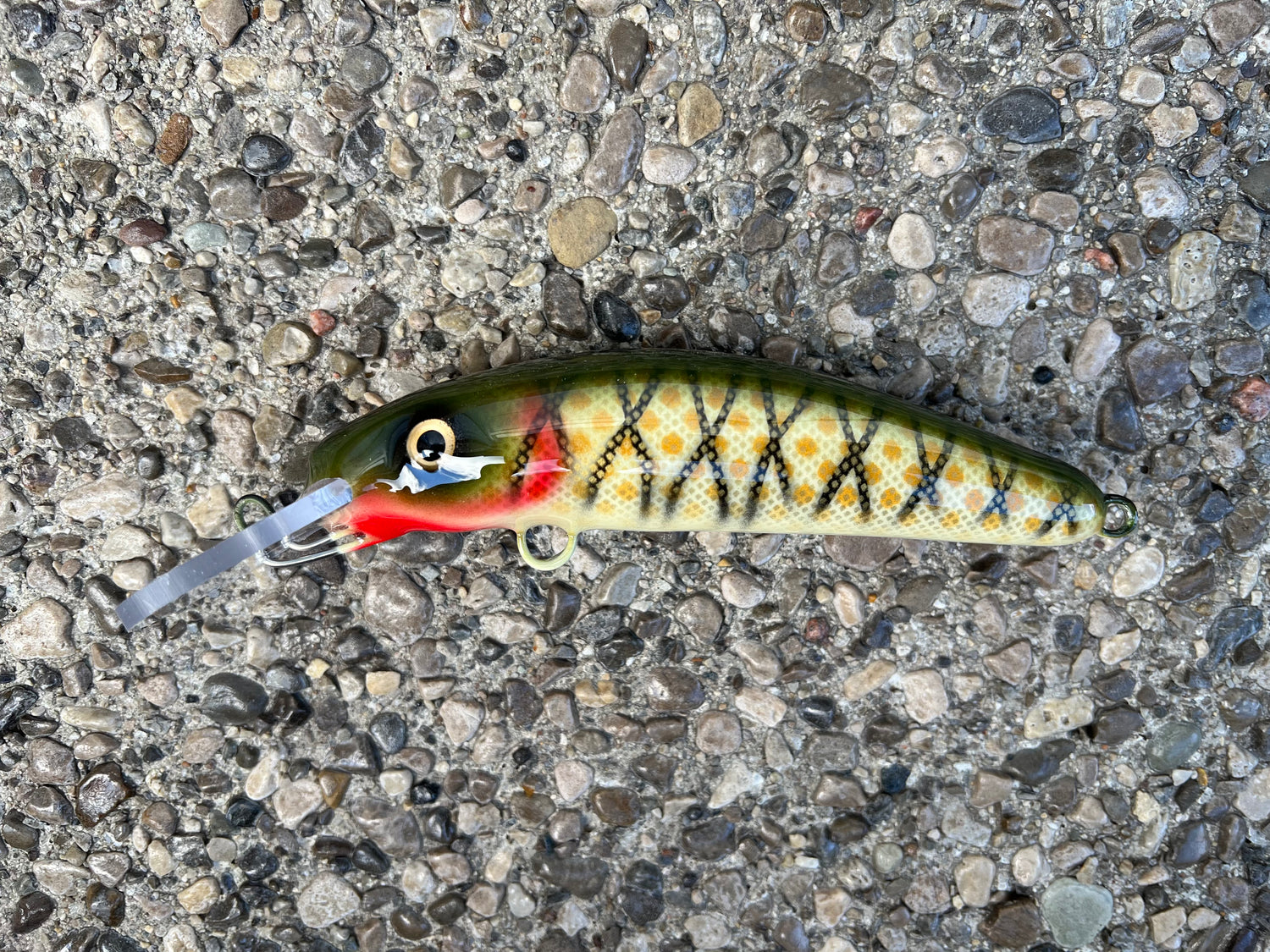 6” Herring