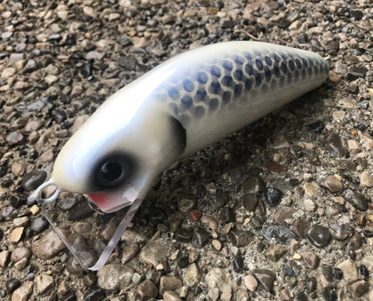 Collections – Blue Water Baits