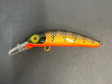 Brown Perch - Orange Belly - 6H