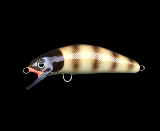 Brown Pike Scale - Cream Belly - 6SC