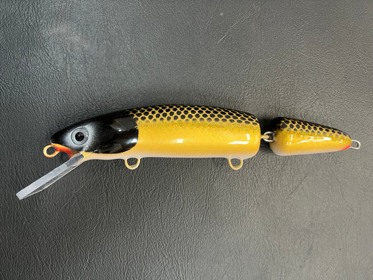 McCarthy Gold Sucker - White Belly - 9JC