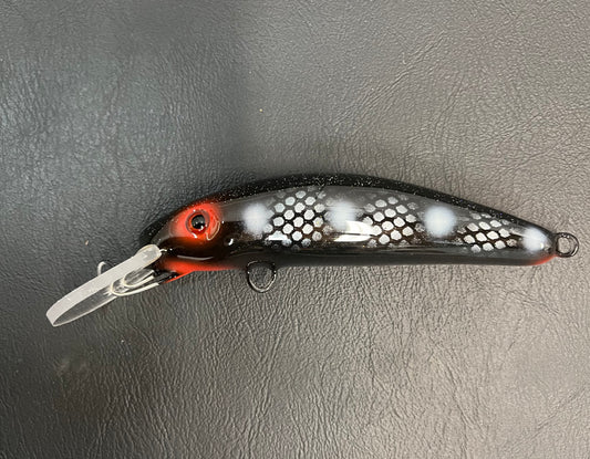 Imposter Perch - Black Belly - 6H