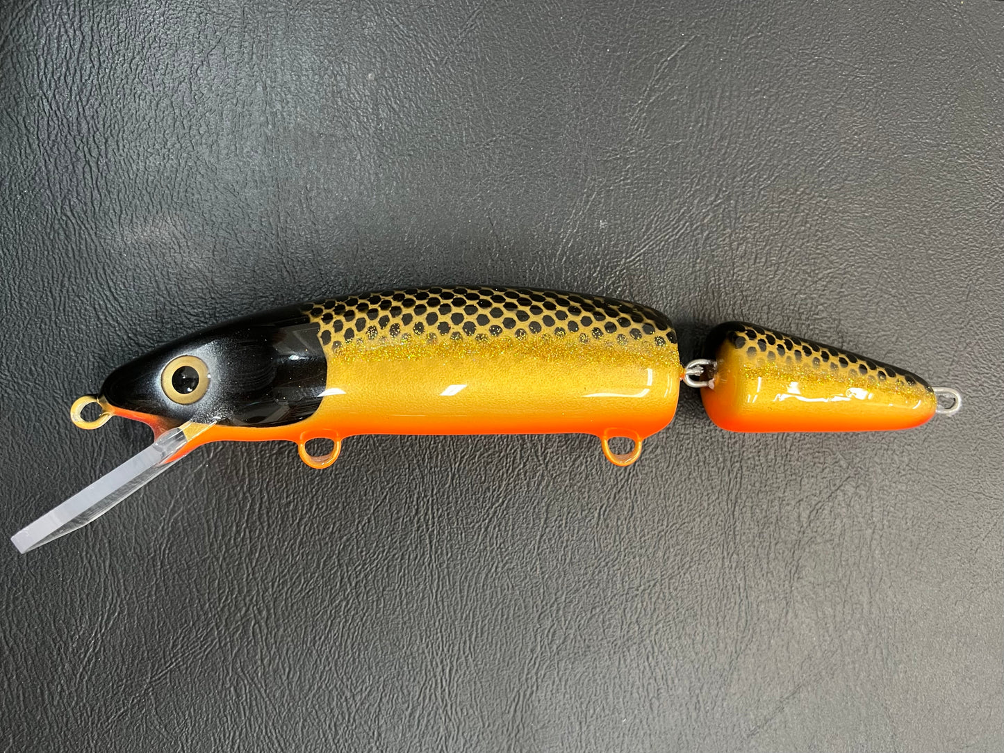 McCarthy Gold Sucker - Orange Belly - 9JC