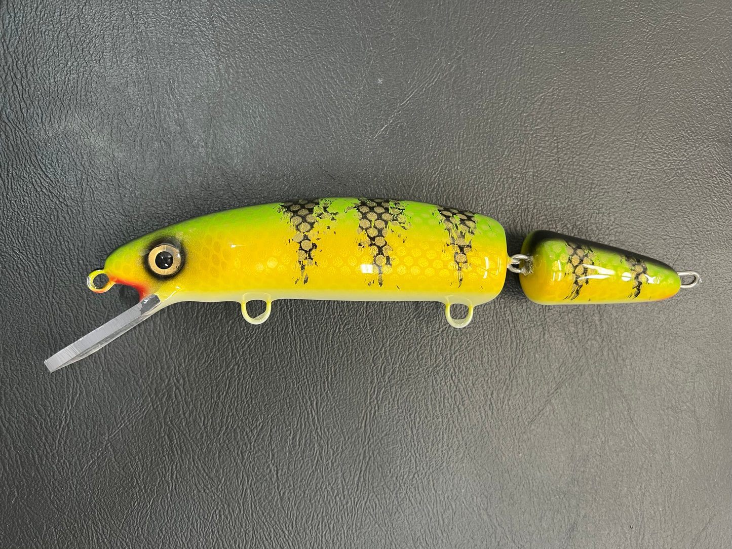Chalky Perch - White Belly - 9JC