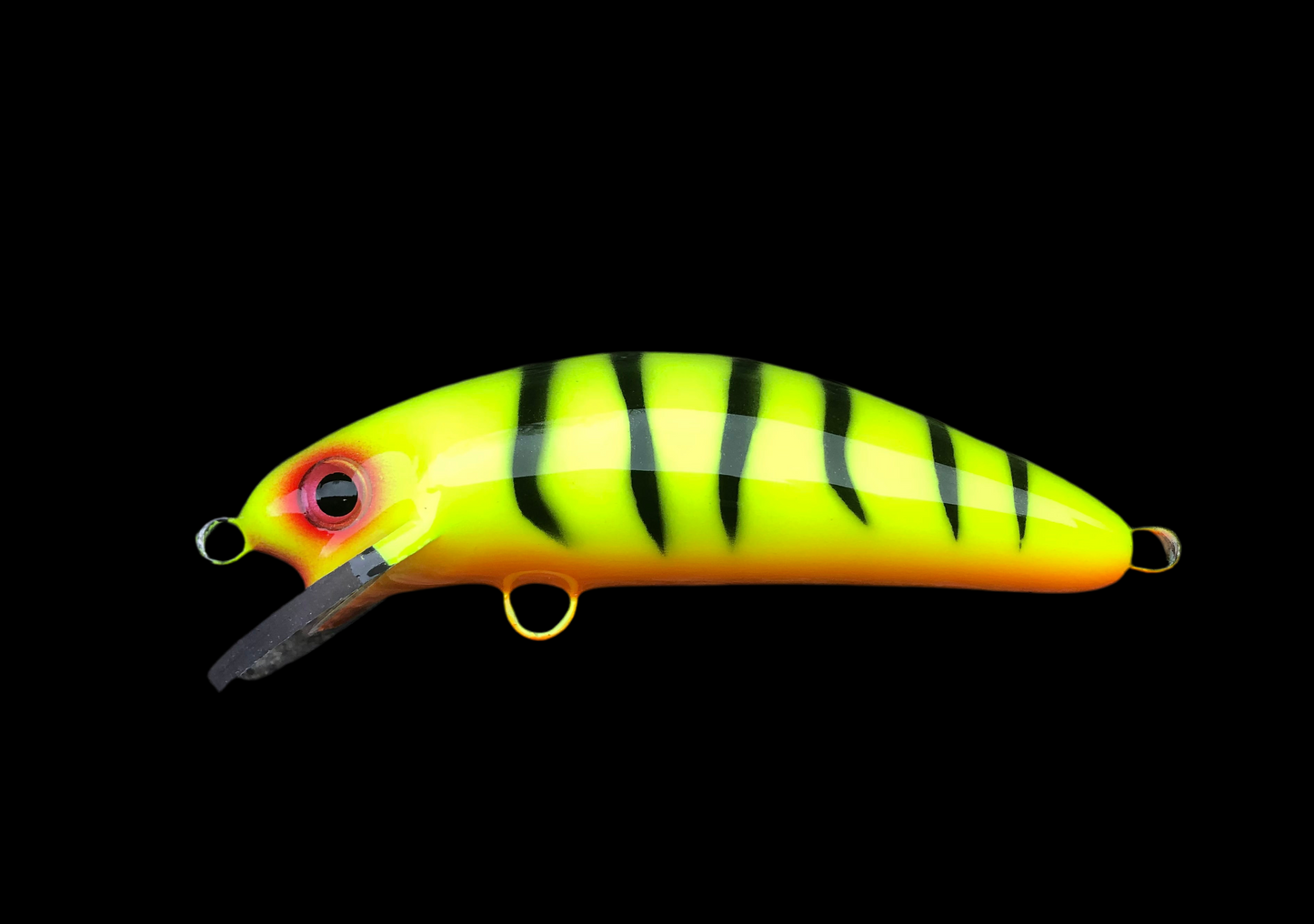 Chartreuse Tiger - Orange Belly - 6SC