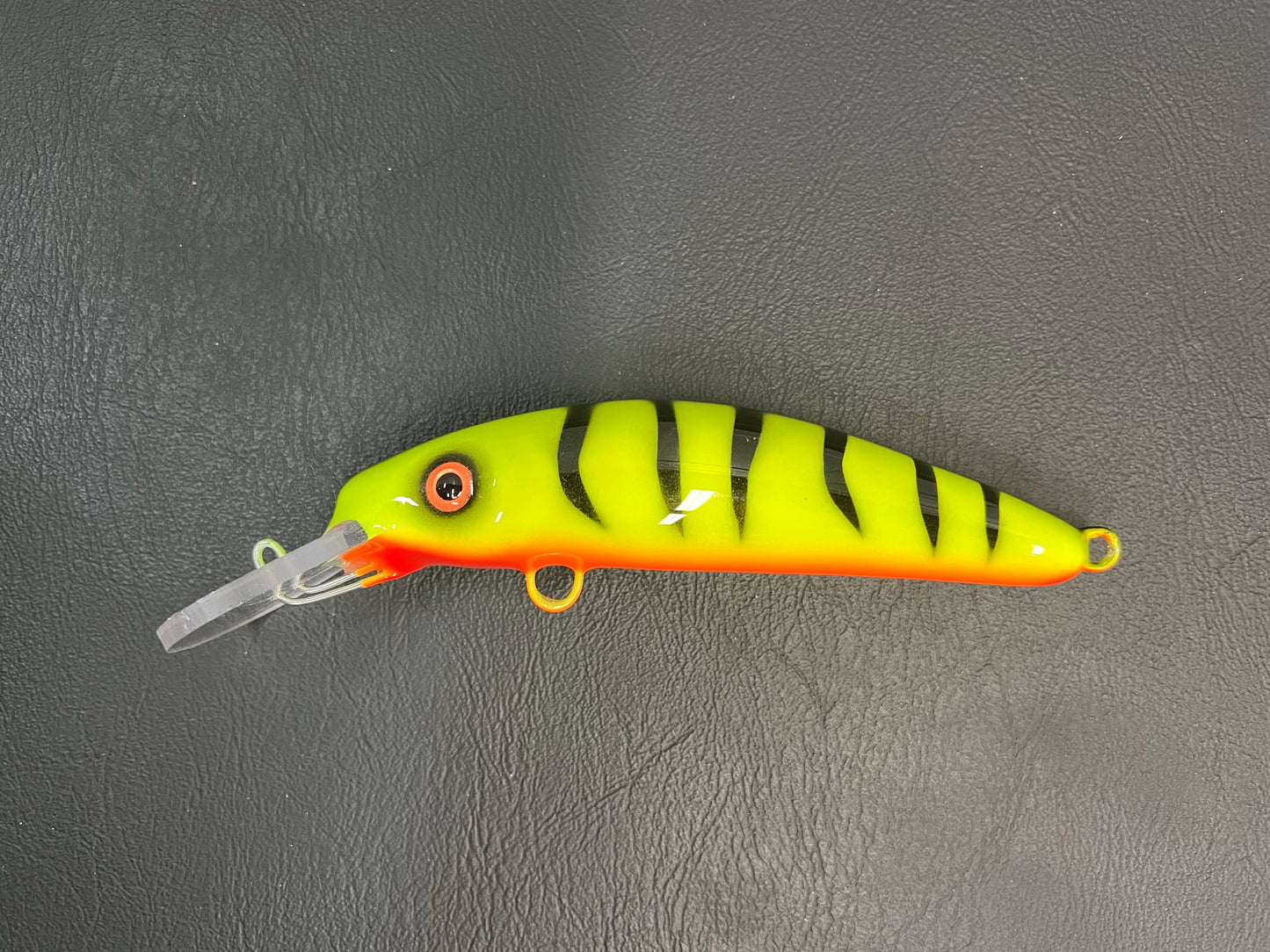 Chartreuse Tiger - Orange Belly - 6H