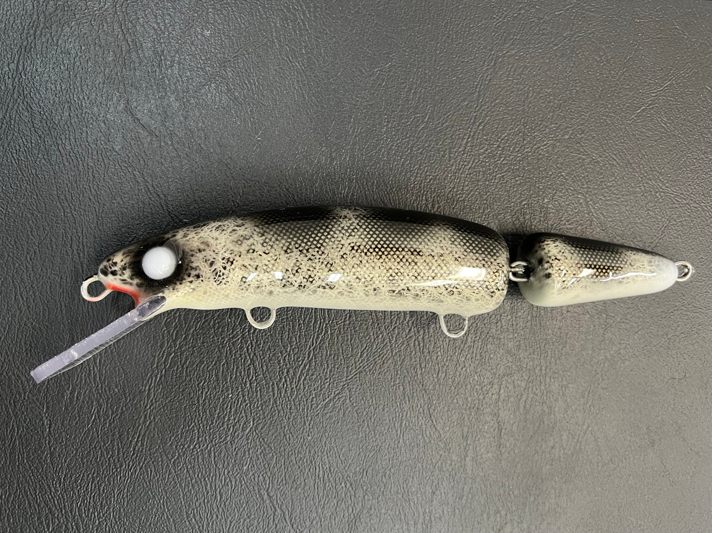 Black Walleye - White Belly - 9JC