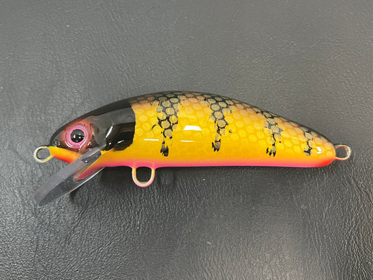 Brown Perch - Pink Belly - 6SC