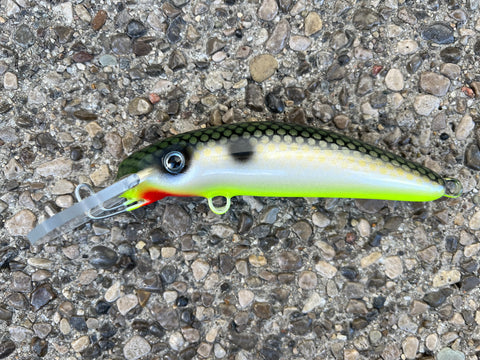 Tennessee Shad - Chartreuse Belly - 6H