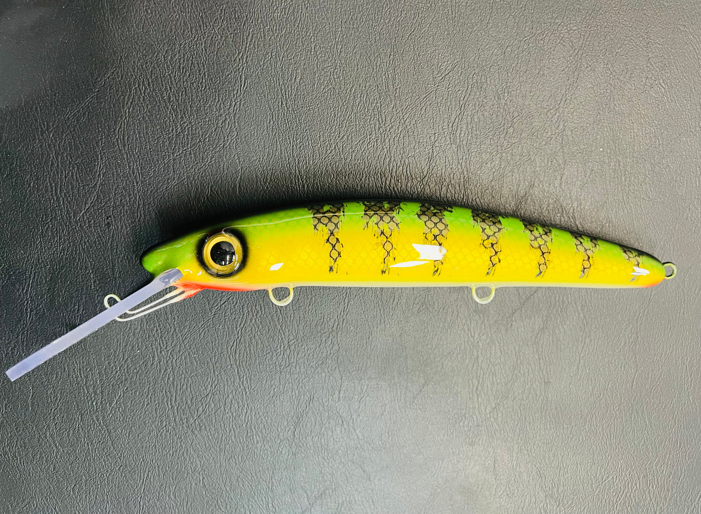 Chalky Perch - White Belly - 12H
