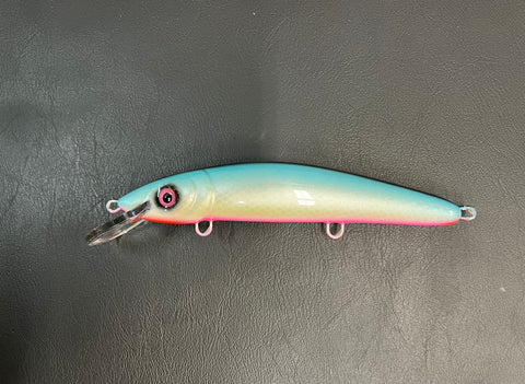 Blue Cisco - Pink Belly - 9CP