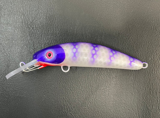 Frozen Plum Perch - White Belly - 6H