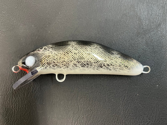 Black Walleye - Bass Belly - 6SC