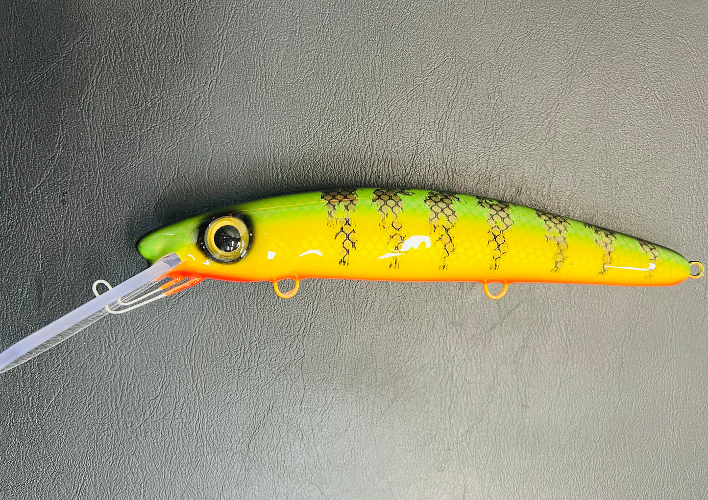 Chalky Perch - Orange Belly - 12H