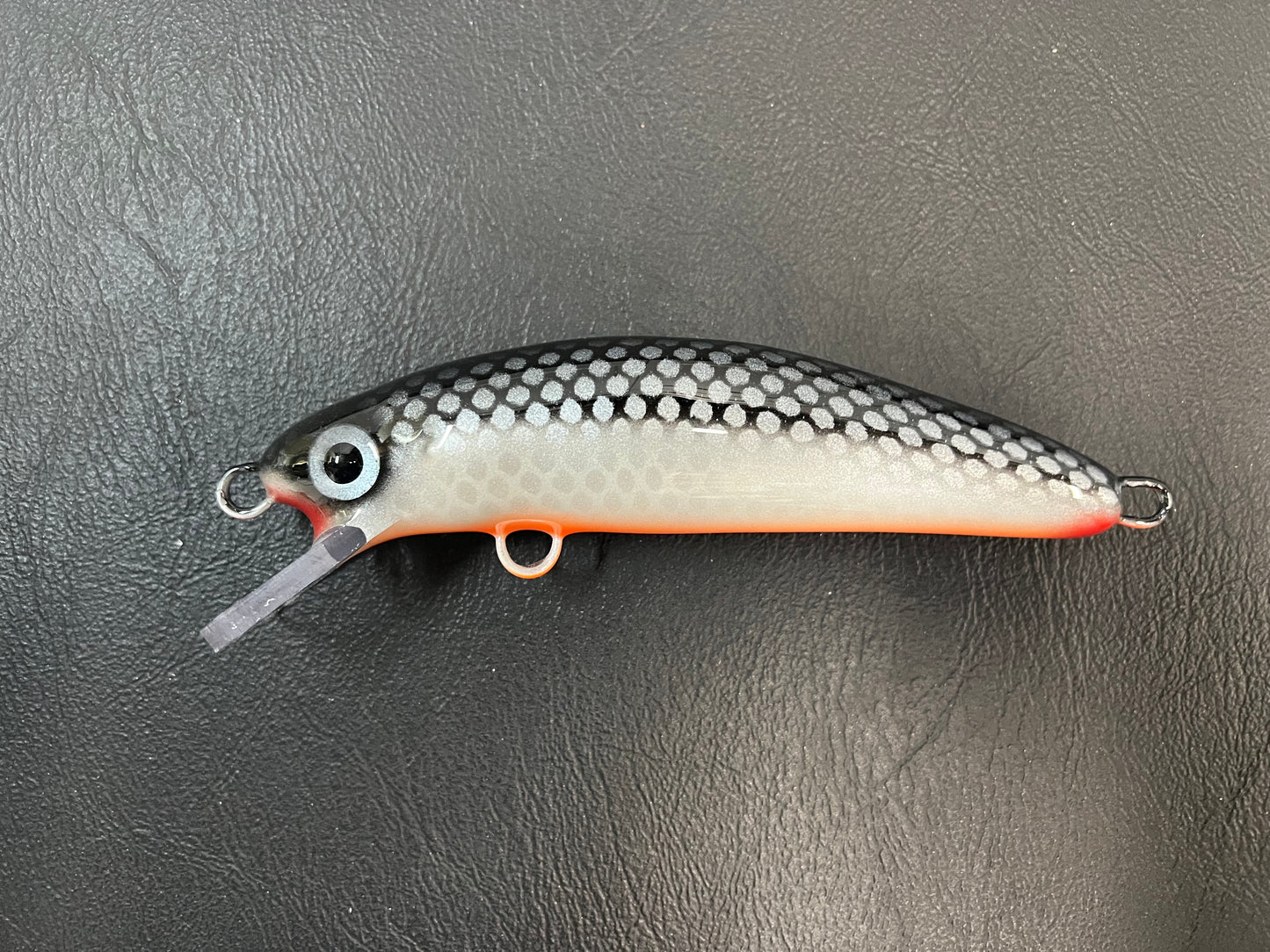 58” Cisco - Orange Belly - 6CH