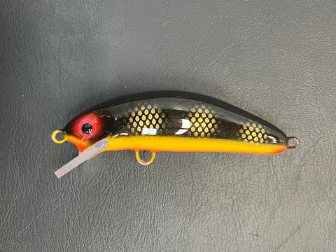 Black Perch - Orange Belly - 6SC