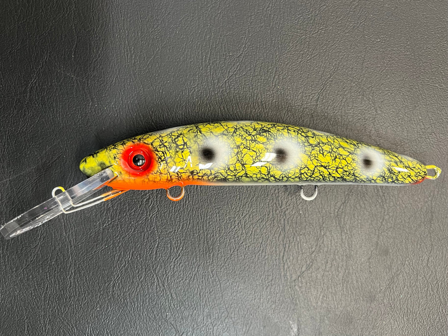 Reverse Camo Frog - White Belly - 9H