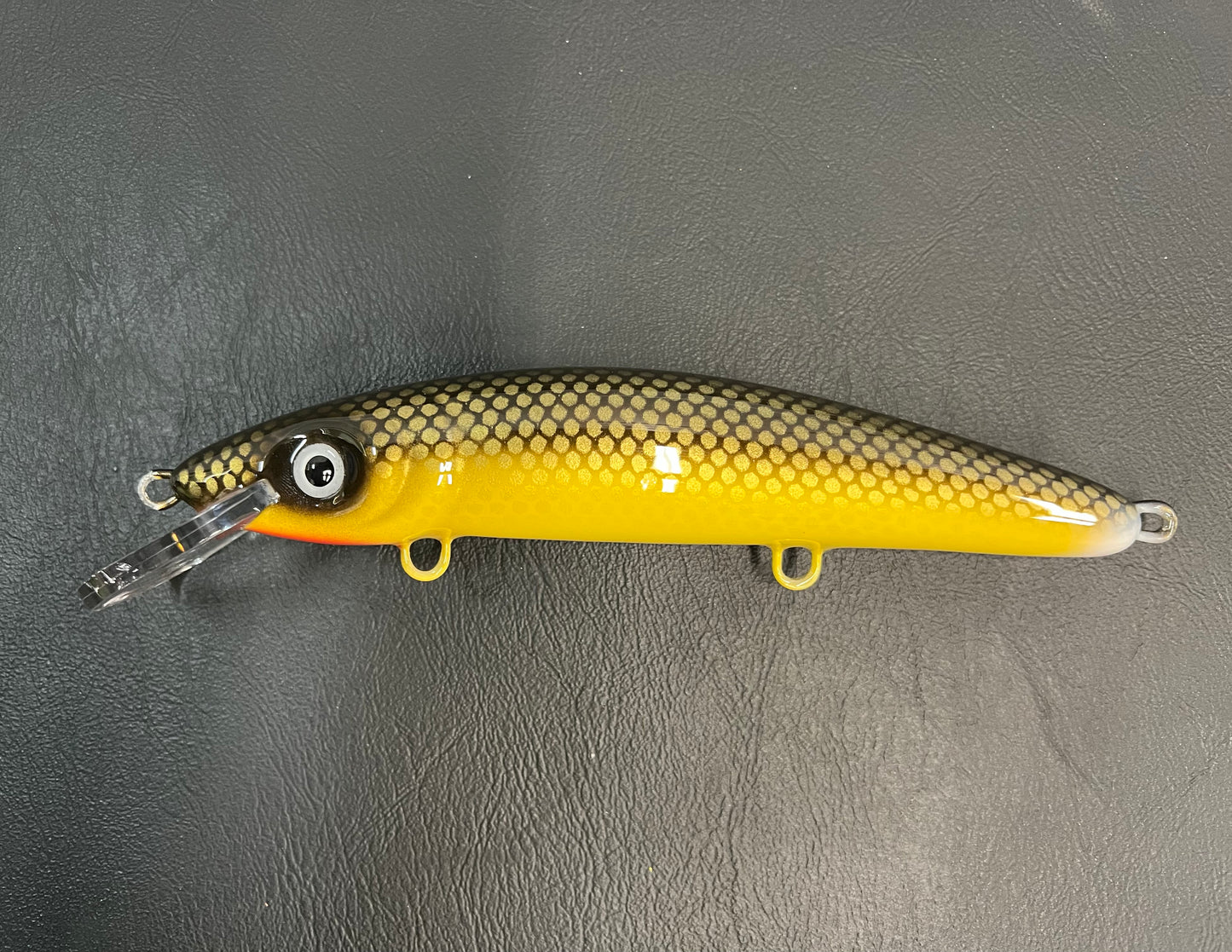 Black Sucker - Pearl Belly - 9CP