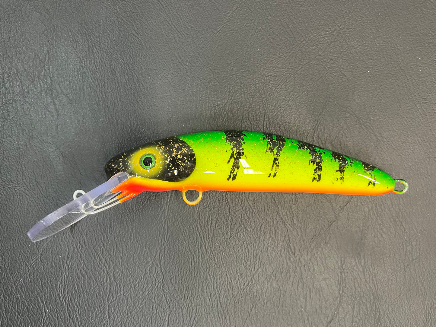 Glitter Perch - Orange Belly - 7H