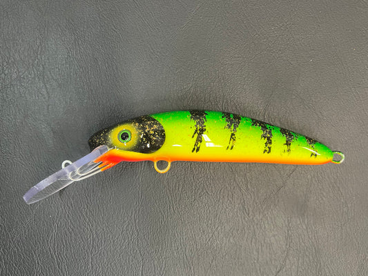 Glitter Perch - Orange Belly - 7H