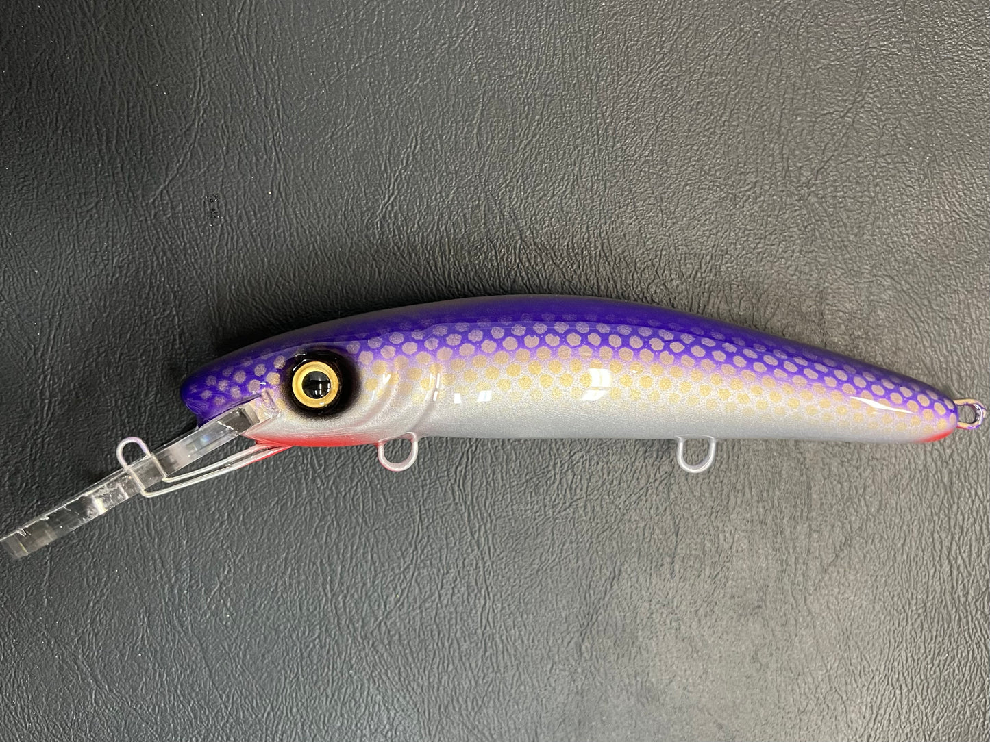 Finlander Cisco - Pearl Belly - 9H
