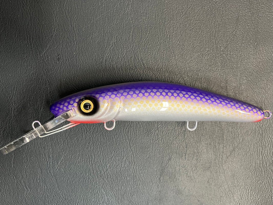 Finlander Cisco - Pearl Belly - 9H