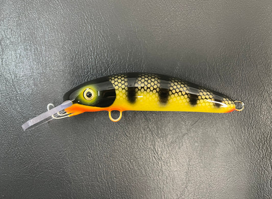 Midnight Perch - Yellow Belly - 6H