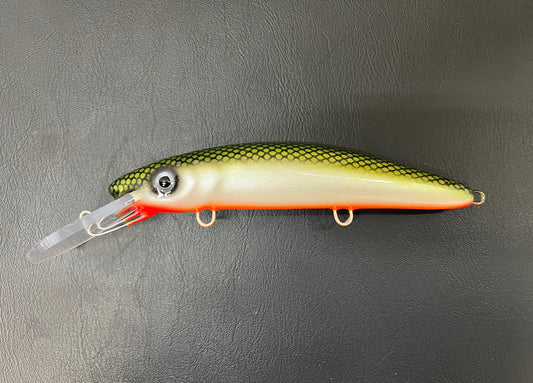 Tennessee Shad - Orange Belly - 9H