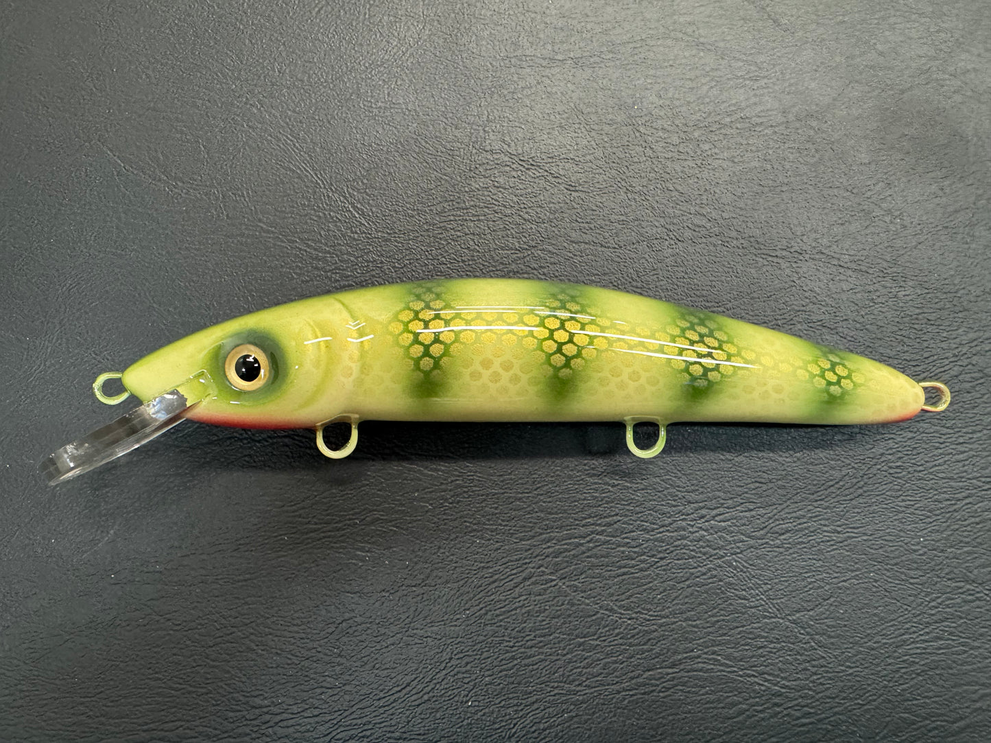 Olive Pike Scale - Cream Belly - 9CP