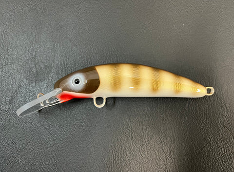 Brown Pike Scale - Cream Belly - 6H