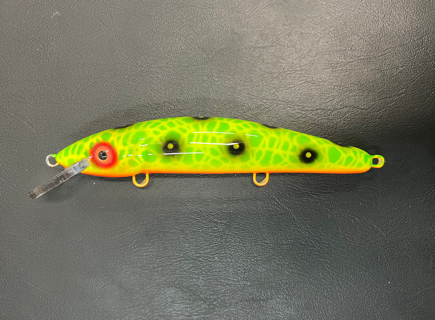 Acid Frog - Orange Belly - 9CP