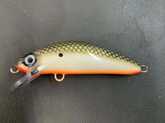 Tennessee Shad - Orange Belly - 6SC