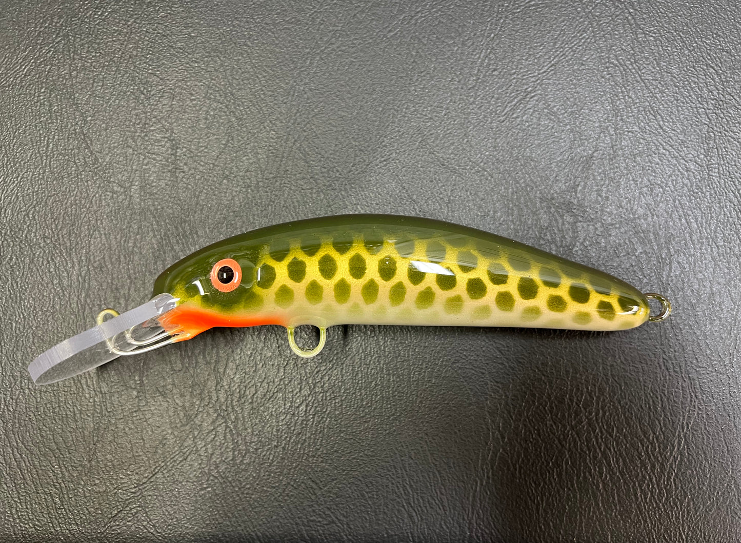 Olive Carp - Pearl Belly - 6H