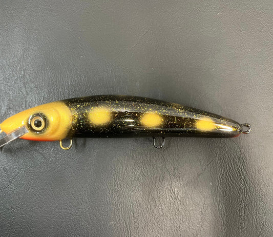 Gold Afro - Black Belly - 9H