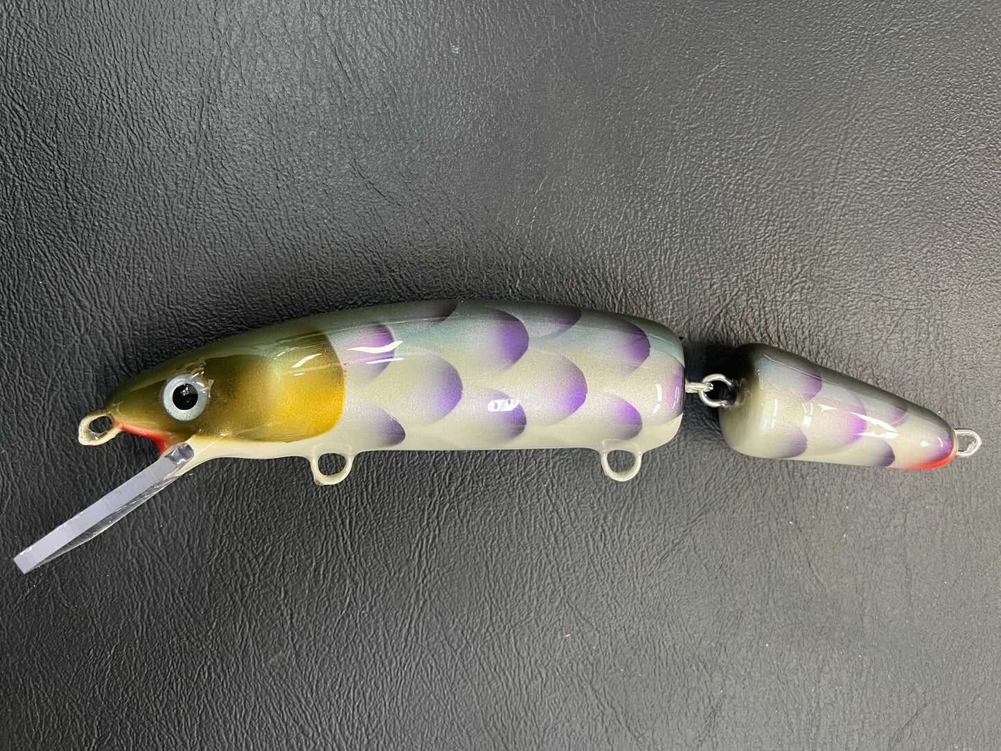Real Scale Cisco - Pearl Belly - 9JC
