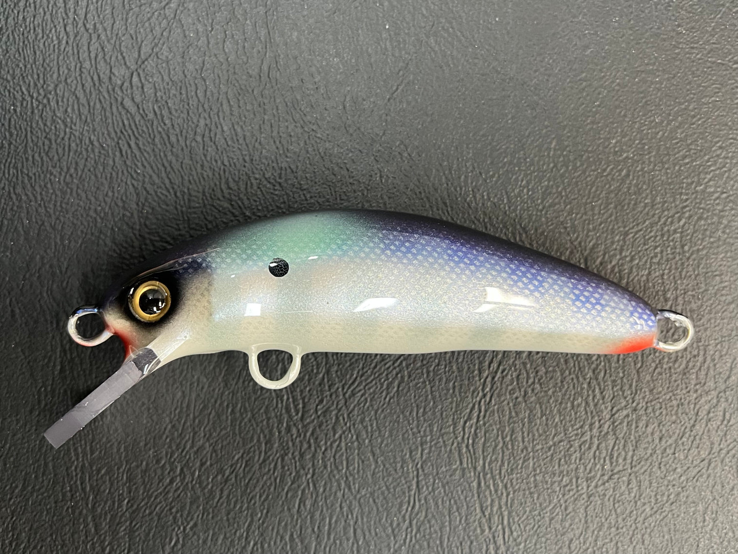 Shimmering Shad - Pearl Belly - 5SC